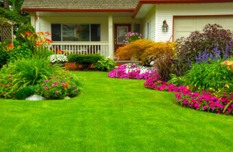 Add Curb Appeal with Front Yard Landscaping