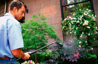 How to Find a Landscaping Business