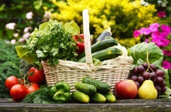 Organic Vegetable Gardening Quick Tips