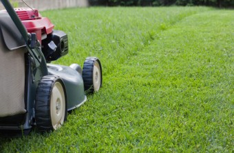 6 Things to Keep In Mind When Mowing Grass
