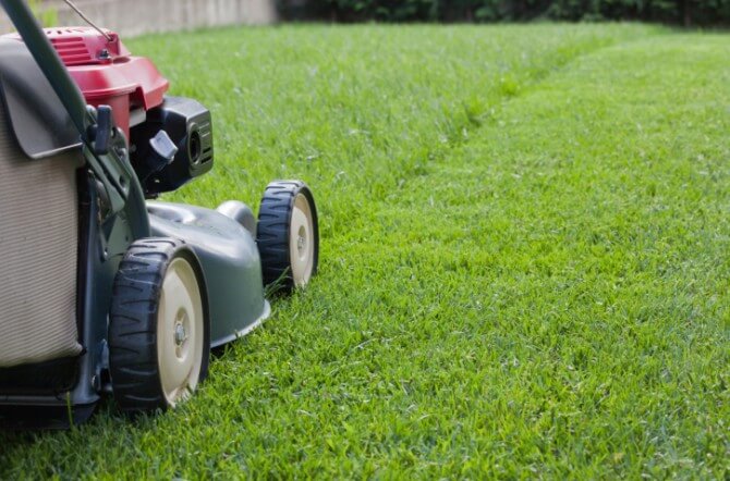 6 Things to Keep In Mind When Mowing Grass