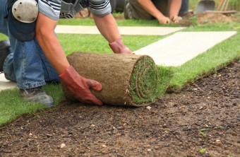 Using Sod To Get A Lush Lawn