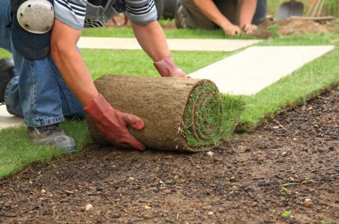 Using Sod To Get A Lush Lawn