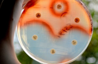 What Is a Superbug?