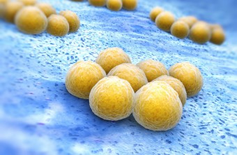 What Is Methicillin‐resistant Staphylococcus Aureus?