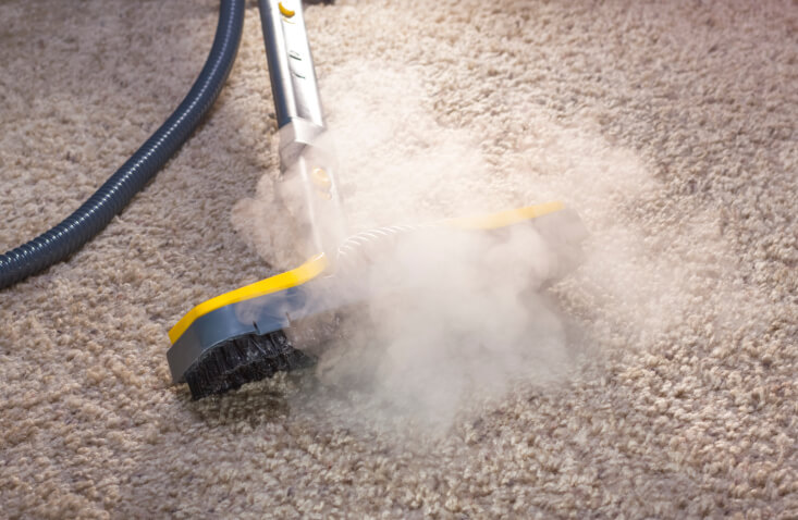 How Do vapor Steam Cleaners Work?