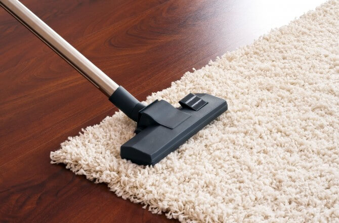 Carpet cleaner on area rug