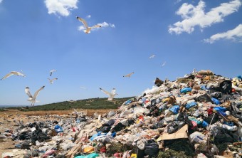 Landfills: A History of Waste Disposal