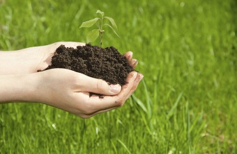 The Pros And Cons Of Organic Fertilizers