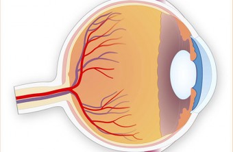 What is Fungal Eye Infection?