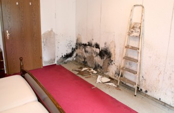 What to Do about Drywall Water Damage
