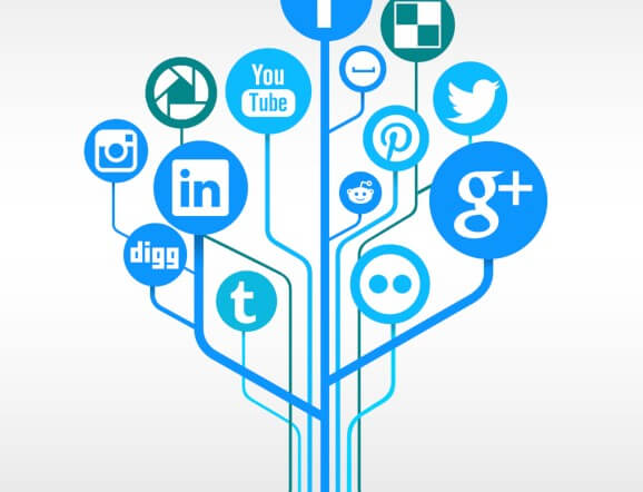 Social media networks tree