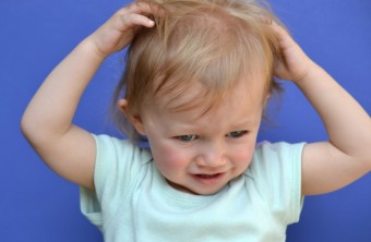 Three Home Remedies for Head Lice that Work