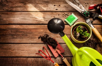 10 Must-Have Gardening Tools