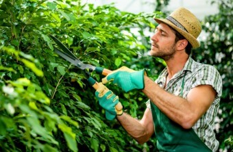3 Questions for Hiring a Gardener