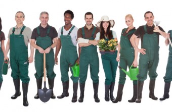5 Benefits of Hiring a Gardener