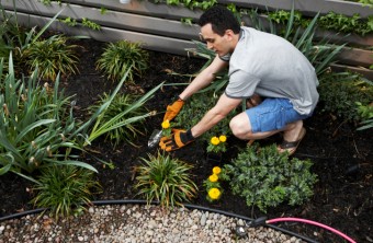 5 Benefits of Organic Landscaping