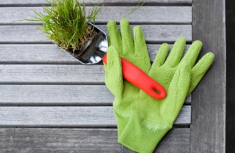 5 Common Gardening Mistakes