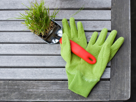 5 Common Gardening Mistakes - Gardening Gloves