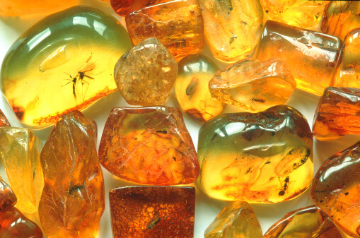 What Is Baltic Amber