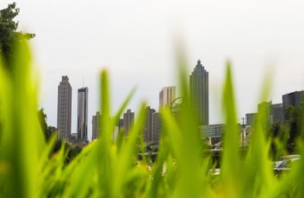 Best Lawn Grass for the Atlanta Area