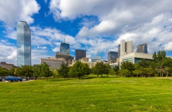 Best Lawn Grass for the Dallas-Ft. Worth Area