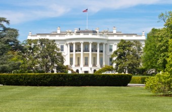 Best Lawn Grass for the Washington, D.C., Area