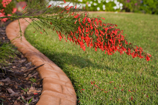 Guide to Landscape Curbing and Edging