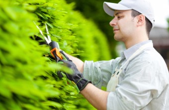 How Much Does a Gardener Cost?