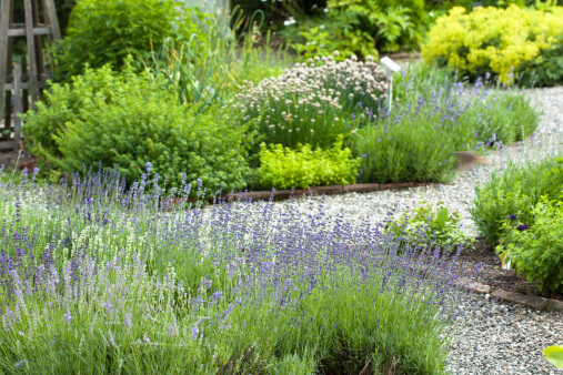 How and Where to Use Gravel in Your Landscape