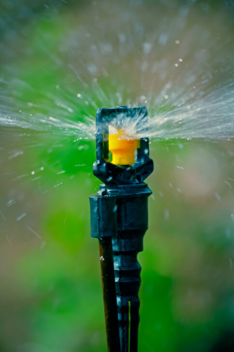 how to choose the best sprinkler system for your lawn and garden