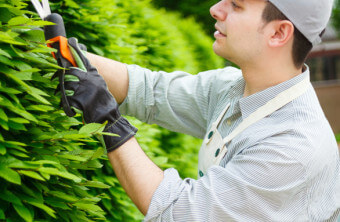 How to Find a Good Landscaper