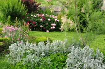 Key Terms to Know About Garden Design