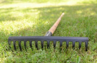 Lawn Care Tips for the Dallas-Ft. Worth Area