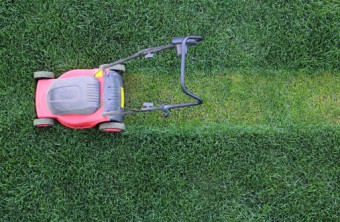 Lawn Care Tips for the Houston Area