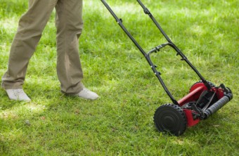 Lawn Care Tips for the Philadelphia Area