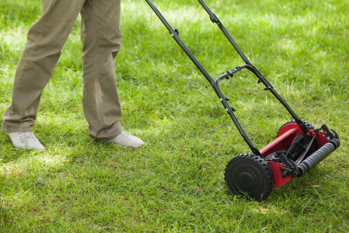 Lawn Care Tips for the Philadelphia Area