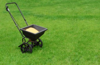 Lawn Care Tips for the Washington, D.C., Area