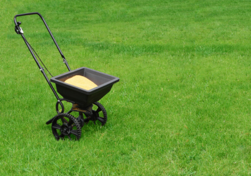 Lawn Care Tips for the Washington, D.C., Area