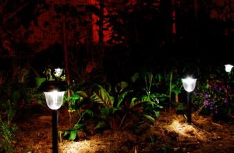 7 Savvy Reasons to Light Up Your Landscape