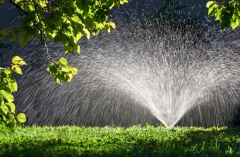 Water and Your Garden: How an Irrigation System Can Make All the Difference