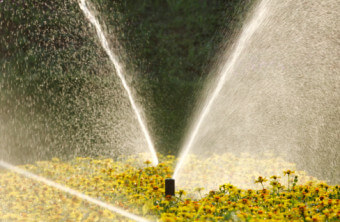What to Look for in an Irrigation System Installation Contract