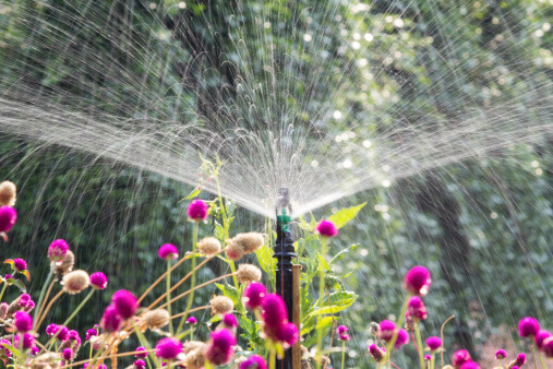 6 Smart Reasons to Install Sprinkler Systems