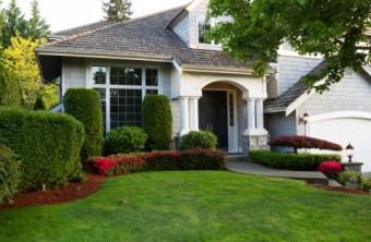 Best Lawn Grass for the Seattle-Tacoma Area