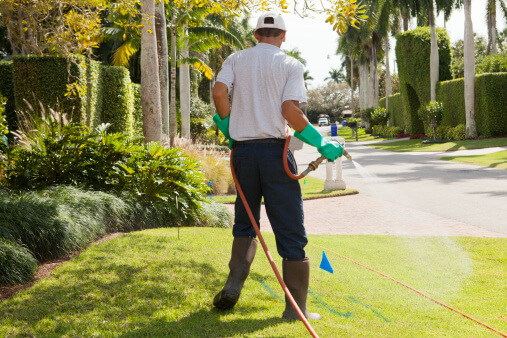 Five Signs Your Lawn Has a Bug Problem