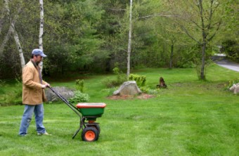 Lawn Care Tips for the Denver Area