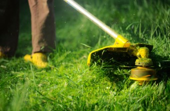 Lawn Care Tips for the Miami-Lauderdale Area