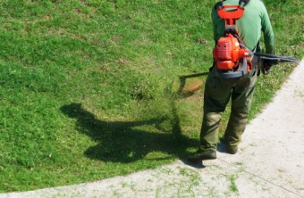 Lawn Care Tips for the Phoenix Area