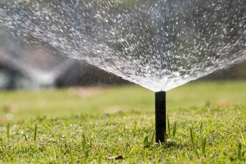 Save Water with High Efficiency Sprinklers