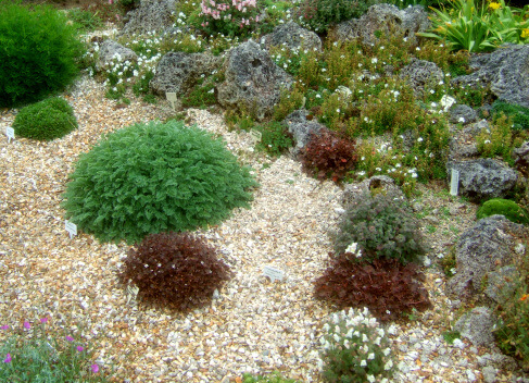 10 Reasons to Use Gravel Mulch